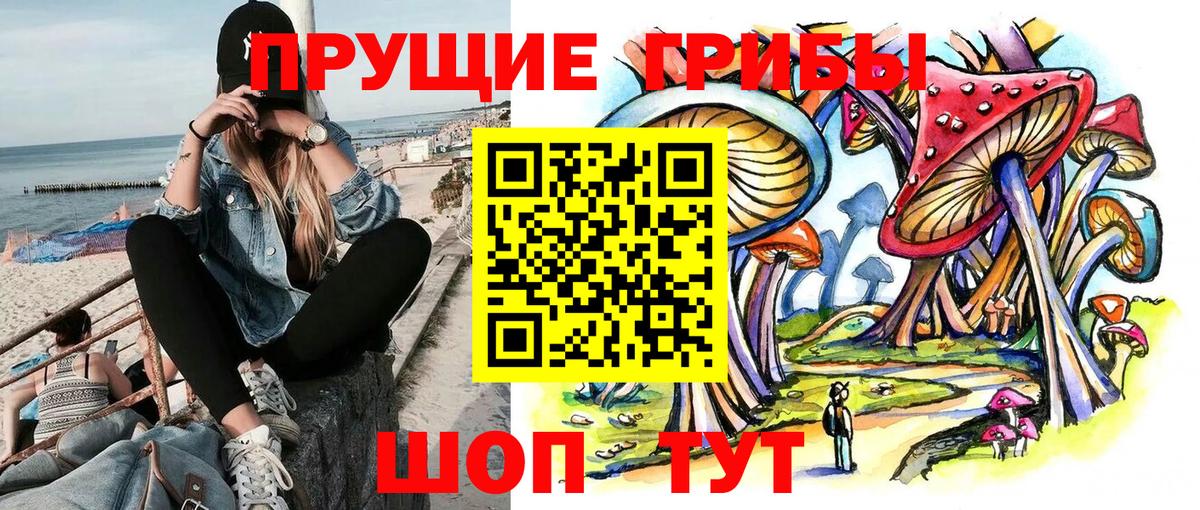 Галлюциногенные грибы Psilocybine cubensis  Псилоцибиновые грибы мицелий  Рузаевка  Вход с VPN 